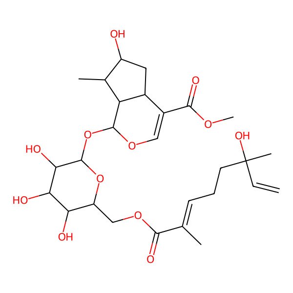 2D Structure of methyl (1S,4aS,6S,7R,7aS)-6-hydroxy-7-methyl-1-[(2S,3R,4S,5S,6R)-3,4,5-trihydroxy-6-[[(2E)-6-hydroxy-2,6-dimethylocta-2,7-dienoyl]oxymethyl]oxan-2-yl]oxy-1,4a,5,6,7,7a-hexahydrocyclopenta[c]pyran-4-carboxylate