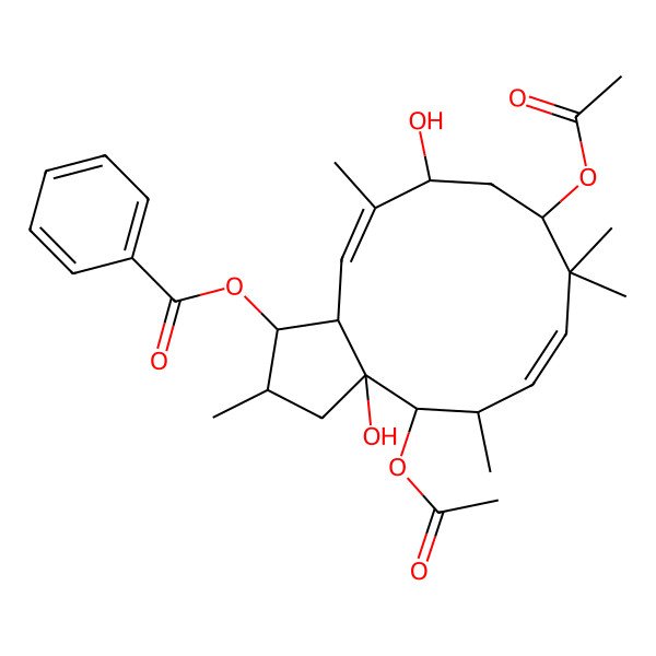 2D Structure of (4,9-diacetyloxy-3a,11-dihydroxy-2,5,8,8,12-pentamethyl-2,3,4,5,9,10,11,13a-octahydro-1H-cyclopenta[12]annulen-1-yl) benzoate