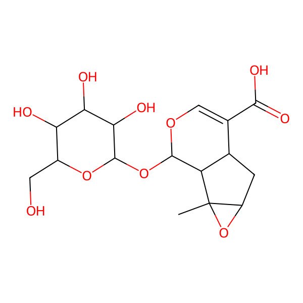 2D Structure of (1S,2R,4S,6S,10S)-2-methyl-10-[(2S,3R,4S,5S,6R)-3,4,5-trihydroxy-6-(hydroxymethyl)oxan-2-yl]oxy-3,9-dioxatricyclo[4.4.0.02,4]dec-7-ene-7-carboxylic acid
