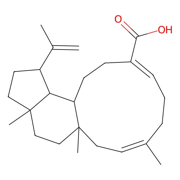 2D Structure of (1S,3Z,7Z,11R,12R,13R,16R)-1,4,16-trimethyl-13-prop-1-en-2-yltricyclo[9.7.0.012,16]octadeca-3,7-diene-8-carboxylic acid