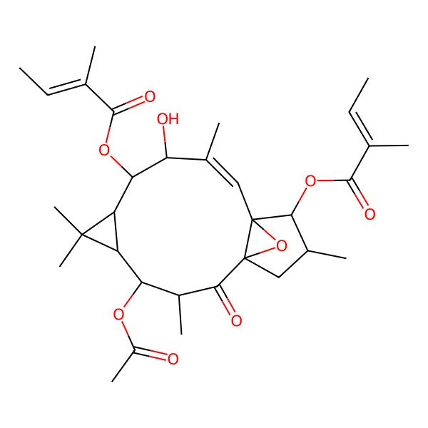 2D Structure of [(1R,3R,4S,5R,7S,8S,9R,10E,12S,13S,14S)-4-acetyloxy-9-hydroxy-3,6,6,10,14-pentamethyl-13-[(E)-2-methylbut-2-enoyl]oxy-2-oxo-16-oxatetracyclo[10.3.1.01,12.05,7]hexadec-10-en-8-yl] (E)-2-methylbut-2-enoate