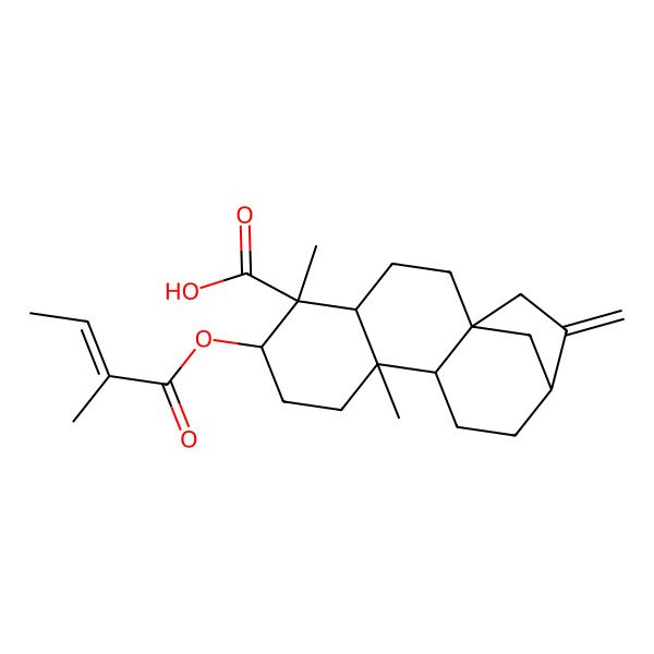 2D Structure of 5,9-Dimethyl-6-(2-methylbut-2-enoyloxy)-14-methylidenetetracyclo[11.2.1.01,10.04,9]hexadecane-5-carboxylic acid