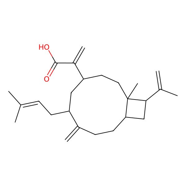 2D Structure of 2-[(1S,4S,6R,10R,12R)-1-methyl-6-(3-methylbut-2-enyl)-7-methylidene-12-prop-1-en-2-yl-4-bicyclo[8.2.0]dodecanyl]prop-2-enoic acid