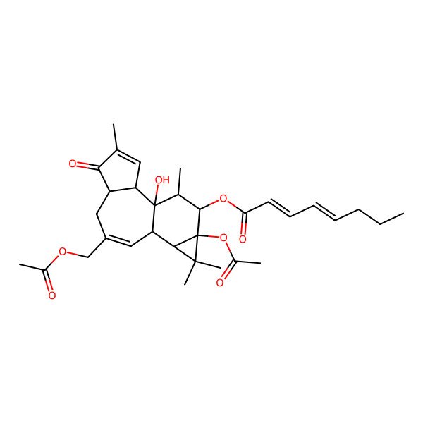 2D Structure of [(1S,2R,6S,10R,11S,13S,14S,15R)-13-acetyloxy-8-(acetyloxymethyl)-1-hydroxy-4,12,12,15-tetramethyl-5-oxo-14-tetracyclo[8.5.0.02,6.011,13]pentadeca-3,8-dienyl] (2Z,4E)-octa-2,4-dienoate