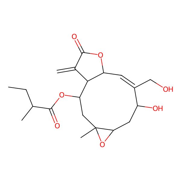 2D Structure of [(1R,2R,4R,6R,8S,9Z,11R)-8-hydroxy-9-(hydroxymethyl)-4-methyl-14-methylidene-13-oxo-5,12-dioxatricyclo[9.3.0.04,6]tetradec-9-en-2-yl] (2R)-2-methylbutanoate