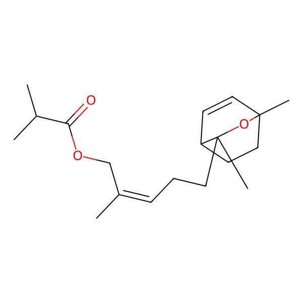 2D Structure of [(E)-5-[(1S,3S,4R)-1,3-dimethyl-2-oxabicyclo[2.2.2]oct-5-en-3-yl]-2-methylpent-2-enyl] 2-methylpropanoate