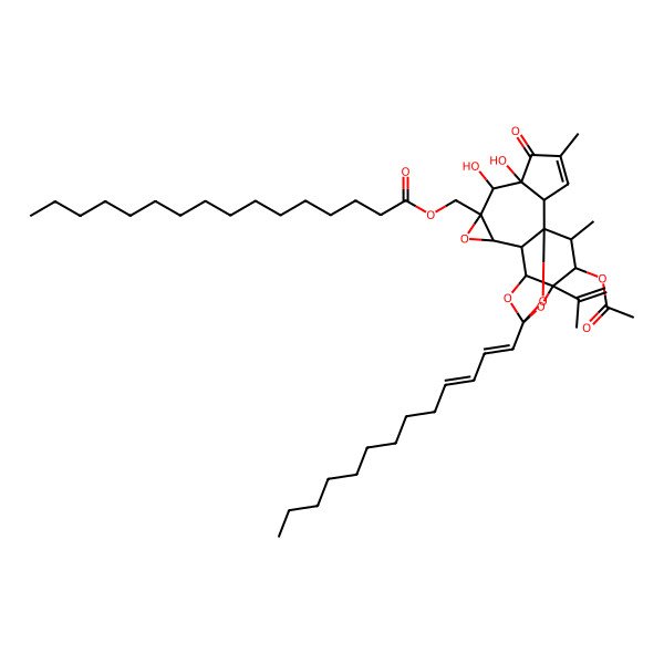 2D Structure of [(1R,2R,6S,7S,8R,10S,11S,12R,16S,17R,18R)-17-acetyloxy-6,7-dihydroxy-4,18-dimethyl-5-oxo-16-prop-1-en-2-yl-14-[(1E,3E)-trideca-1,3-dienyl]-9,13,15,19-tetraoxahexacyclo[12.4.1.01,11.02,6.08,10.012,16]nonadec-3-en-8-yl]methyl hexadecanoate