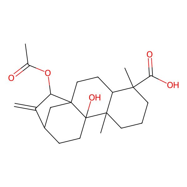 2D Structure of 15-Acetyloxy-10-hydroxy-5,9-dimethyl-14-methylidenetetracyclo[11.2.1.01,10.04,9]hexadecane-5-carboxylic acid