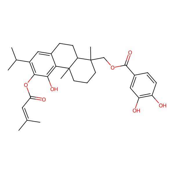2D Structure of [5-Hydroxy-1,4a-dimethyl-6-(3-methylbut-2-enoyloxy)-7-propan-2-yl-2,3,4,9,10,10a-hexahydrophenanthren-1-yl]methyl 3,4-dihydroxybenzoate