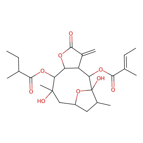2D Structure of [(1S,2S,3R,7R,8S,9R,11R,13S)-1,9-dihydroxy-9,13-dimethyl-2-[(Z)-2-methylbut-2-enoyl]oxy-4-methylidene-5-oxo-6,14-dioxatricyclo[9.2.1.03,7]tetradecan-8-yl] (2R)-2-methylbutanoate