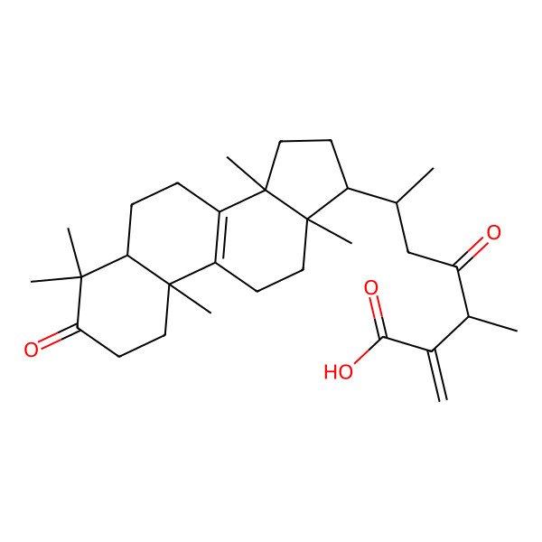 2D Structure of (3R,6R)-3-methyl-2-methylidene-4-oxo-6-[(5R,10S,13R,14R,17R)-4,4,10,13,14-pentamethyl-3-oxo-1,2,5,6,7,11,12,15,16,17-decahydrocyclopenta[a]phenanthren-17-yl]heptanoic acid