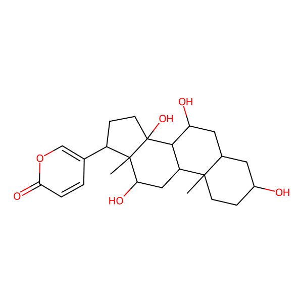 2D Structure of 5-[(3S,5S,7S,8S,9S,10S,12S,13S,14S,17R)-3,7,12,14-tetrahydroxy-10,13-dimethyl-1,2,3,4,5,6,7,8,9,11,12,15,16,17-tetradecahydrocyclopenta[a]phenanthren-17-yl]pyran-2-one