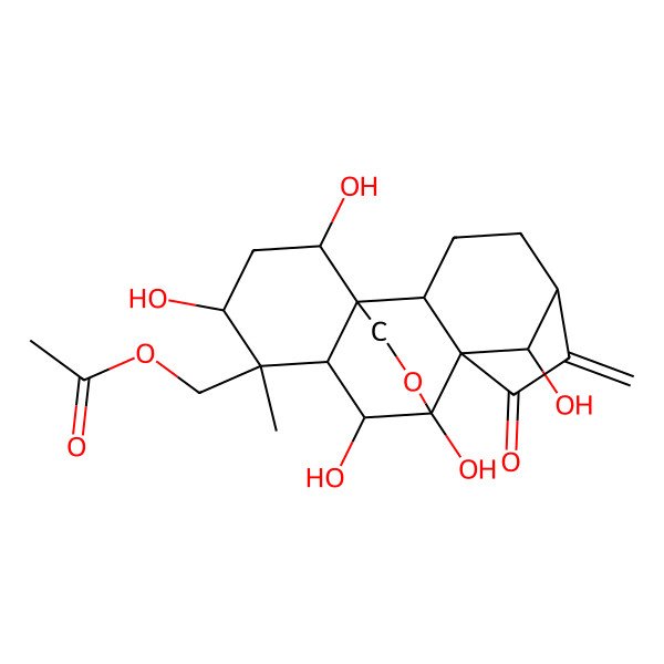 2D Structure of [(1S,2S,5S,8R,9S,10S,11R,12R,13R,15R,18R)-9,10,13,15,18-pentahydroxy-12-methyl-6-methylidene-7-oxo-17-oxapentacyclo[7.6.2.15,8.01,11.02,8]octadecan-12-yl]methyl acetate