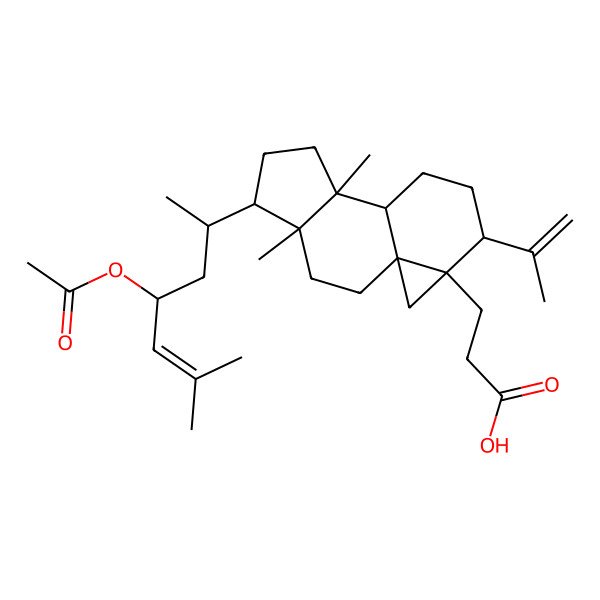 2D Structure of 3-[5-(4-Acetyloxy-6-methylhept-5-en-2-yl)-4,8-dimethyl-12-prop-1-en-2-yl-13-tetracyclo[7.5.0.01,13.04,8]tetradecanyl]propanoic acid
