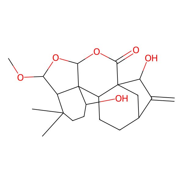 2D Structure of (1R,4R,6R,7R,11S,12R,13S,16S,18R)-11,18-dihydroxy-6-methoxy-8,8-dimethyl-17-methylidene-3,5-dioxapentacyclo[14.2.1.01,13.04,12.07,12]nonadecan-2-one