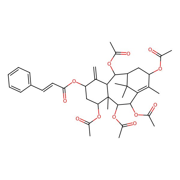 2D Structure of [(1S,3S,8S)-2,7,9,10,13-pentaacetyloxy-8,12,15,15-tetramethyl-4-methylidene-5-tricyclo[9.3.1.03,8]pentadec-11-enyl] 3-phenylprop-2-enoate