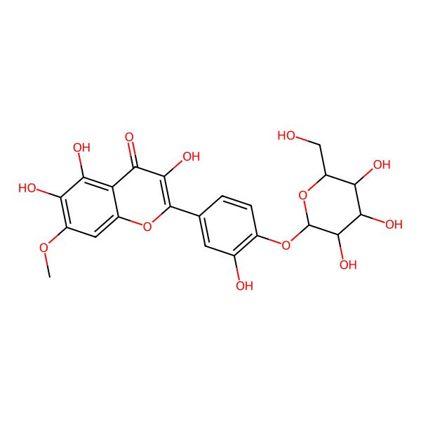 2D Structure of 3,5,6-trihydroxy-2-[3-hydroxy-4-[(2S,3R,4S,5S,6R)-3,4,5-trihydroxy-6-(hydroxymethyl)oxan-2-yl]oxyphenyl]-7-methoxychromen-4-one