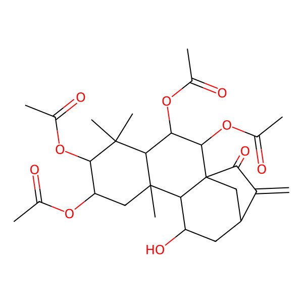 2D Structure of (2,3,6-Triacetyloxy-11-hydroxy-5,5,9-trimethyl-14-methylidene-15-oxo-7-tetracyclo[11.2.1.01,10.04,9]hexadecanyl) acetate