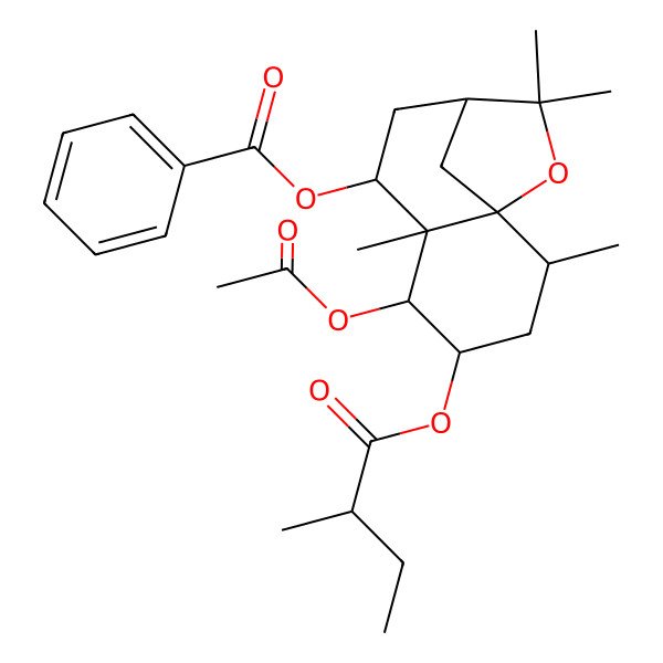 2D Structure of [(1S,2R,4S,5R,6R,7S,9R)-5-acetyloxy-2,6,10,10-tetramethyl-4-[(2R)-2-methylbutanoyl]oxy-11-oxatricyclo[7.2.1.01,6]dodecan-7-yl] benzoate