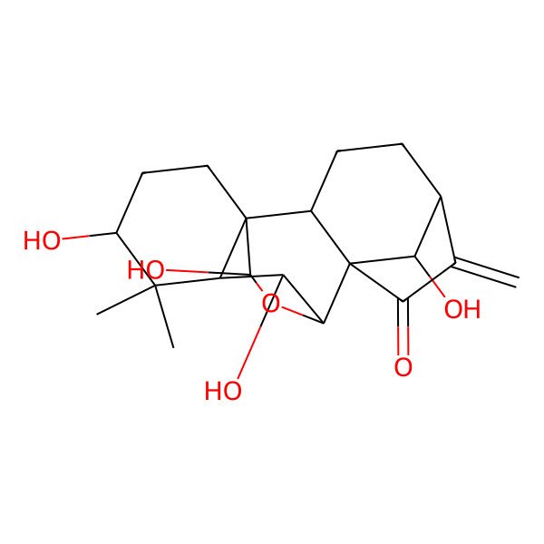 2D Structure of 10,13,16,18-Tetrahydroxy-12,12-dimethyl-6-methylidene-17-oxapentacyclo[7.6.2.15,8.01,11.02,8]octadecan-7-one