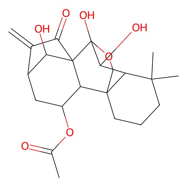 2D Structure of [(1S,2S,3S,5S,8R,9S,10S,11R,18R)-9,10,18-trihydroxy-12,12-dimethyl-6-methylidene-7-oxo-17-oxapentacyclo[7.6.2.15,8.01,11.02,8]octadecan-3-yl] acetate