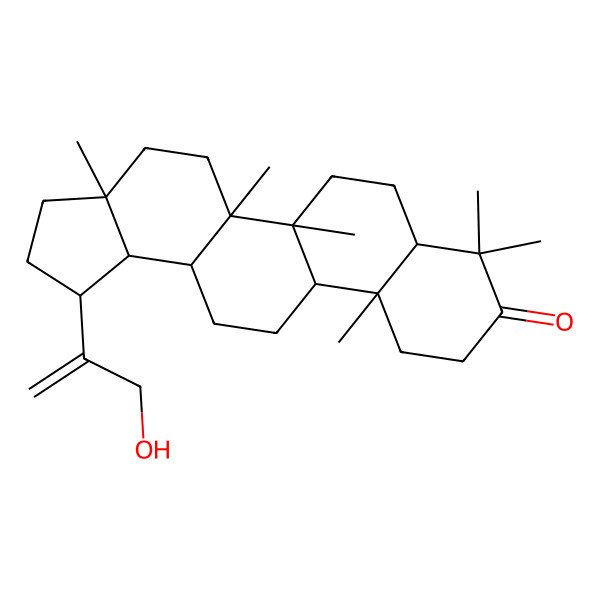 2D Structure of (1R,3aR,5aR,5bR,7aR,11aR,11bR,13aR,13bR)-1-(3-hydroxyprop-1-en-2-yl)-3a,5a,5b,8,8,11a-hexamethyl-2,3,4,5,6,7,7a,10,11,11b,12,13,13a,13b-tetradecahydro-1H-cyclopenta[a]chrysen-9-one