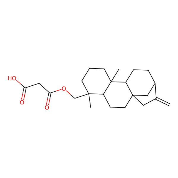2D Structure of 3-[(5,9-Dimethyl-14-methylidene-5-tetracyclo[11.2.1.01,10.04,9]hexadecanyl)methoxy]-3-oxopropanoic acid