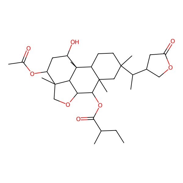2D Structure of [(1R,2S,5R,7S,8S,9R,12R,13R,15S,16R)-13-acetyloxy-15-hydroxy-1,5,7,12-tetramethyl-5-[(1S)-1-[(3S)-5-oxooxolan-3-yl]ethyl]-10-oxatetracyclo[7.6.1.02,7.012,16]hexadecan-8-yl] 2-methylbutanoate