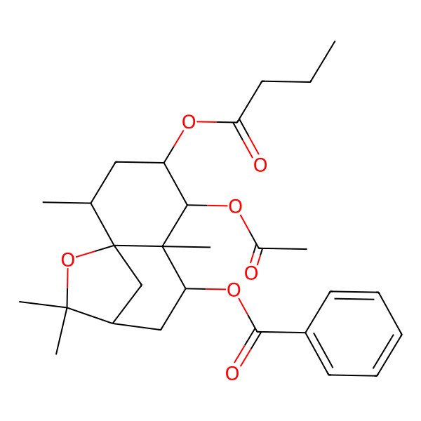 2D Structure of [(1S,2R,4S,5R,6R,7S,9R)-5-acetyloxy-4-butanoyloxy-2,6,10,10-tetramethyl-11-oxatricyclo[7.2.1.01,6]dodecan-7-yl] benzoate
