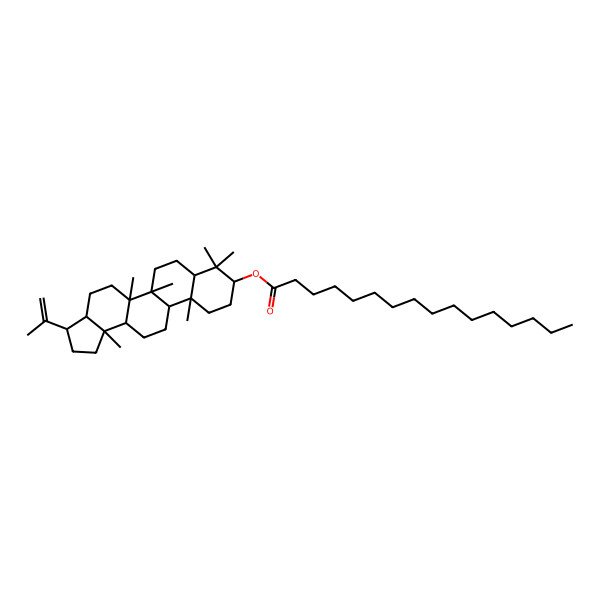 2D Structure of (5a,5b,8,8,11a,13b-Hexamethyl-3-prop-1-en-2-yl-1,2,3,3a,4,5,6,7,7a,9,10,11,11b,12,13,13a-hexadecahydrocyclopenta[a]chrysen-9-yl) hexadecanoate