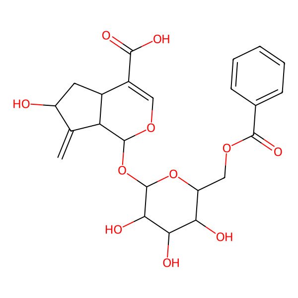 2D Structure of (1S,4aS,6S,7aS)-1-[(2S,3R,4S,5S,6R)-6-(benzoyloxymethyl)-3,4,5-trihydroxyoxan-2-yl]oxy-6-hydroxy-7-methylidene-4a,5,6,7a-tetrahydro-1H-cyclopenta[c]pyran-4-carboxylic acid