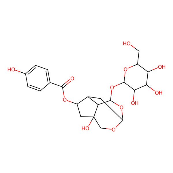 2D Structure of [(4S,6R,7R,8S,9S)-4-hydroxy-9-[(2S,3S,5R)-3,4,5-trihydroxy-6-(hydroxymethyl)oxan-2-yl]oxy-2,10-dioxatricyclo[5.3.1.04,8]undecan-6-yl] 4-hydroxybenzoate