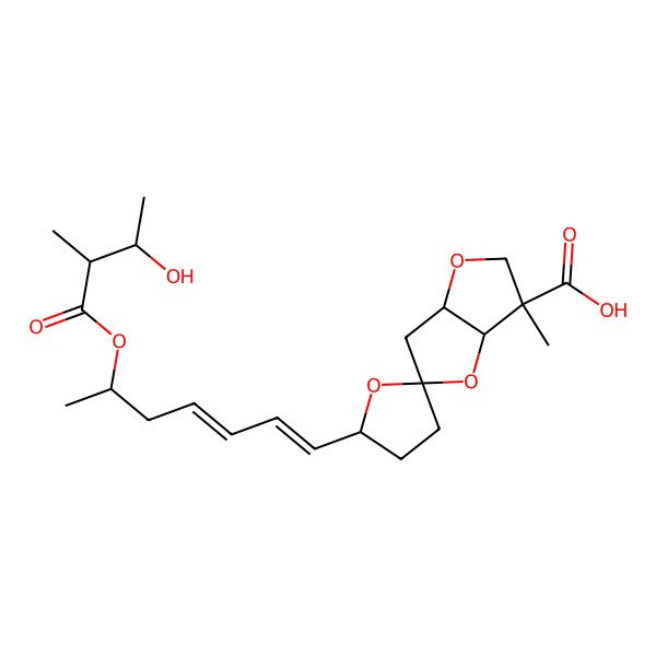 2D Structure of 5'-[6-(3-Hydroxy-2-methylbutanoyl)oxyhepta-1,3-dienyl]-3-methylspiro[2,3a,6,6a-tetrahydrofuro[3,2-b]furan-5,2'-oxolane]-3-carboxylic acid