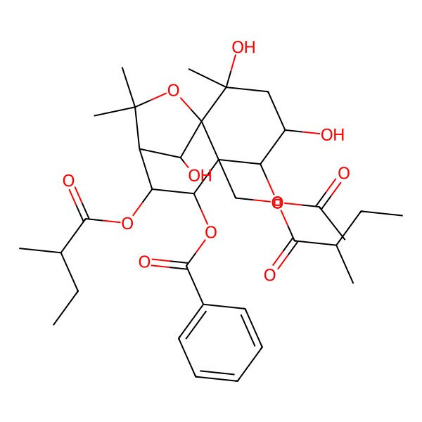 2D Structure of [(1S,2S,4S,5R,6S,7S,8S,9S,12R)-5-acetyloxy-2,4,12-trihydroxy-2,10,10-trimethyl-8-[(2R)-2-methylbutanoyl]oxy-6-[[(2R)-2-methylbutanoyl]oxymethyl]-11-oxatricyclo[7.2.1.01,6]dodecan-7-yl] benzoate