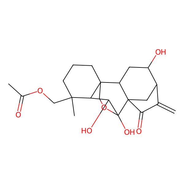 2D Structure of [(1R,2S,4S,5R,8S,9S,10S,11R,12R)-4,9,10-trihydroxy-12-methyl-6-methylidene-7-oxo-17-oxapentacyclo[7.6.2.15,8.01,11.02,8]octadecan-12-yl]methyl acetate
