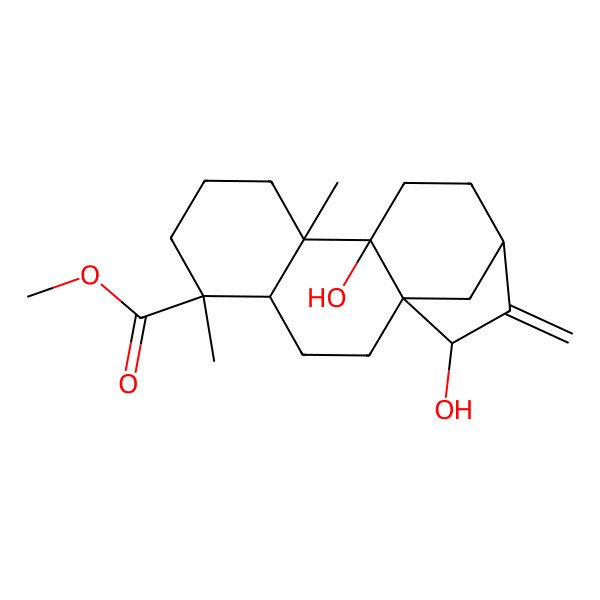 2D Structure of methyl (1S,4S,5R,9R,10R,13R,15S)-10,15-dihydroxy-5,9-dimethyl-14-methylidenetetracyclo[11.2.1.01,10.04,9]hexadecane-5-carboxylate