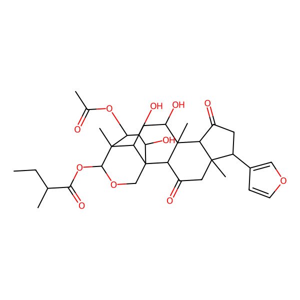 2D Structure of [(1S,2S,5S,6R,9R,10S,11R,13R,14R,15S,18S,19R,20R)-20-acetyloxy-6-(furan-3-yl)-11,18,19-trihydroxy-5,10,14-trimethyl-3,8-dioxo-16-oxapentacyclo[12.3.3.01,13.02,10.05,9]icosan-15-yl] (2R)-2-methylbutanoate