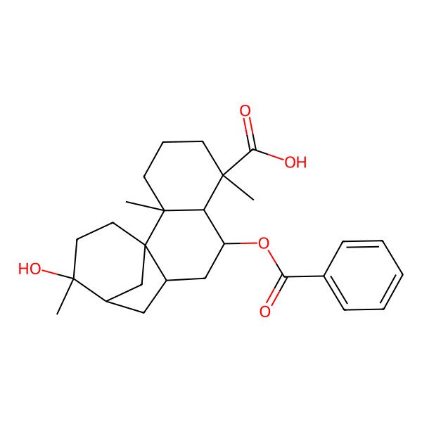 2D Structure of 8-Benzoyloxy-13-hydroxy-2,6,13-trimethyltetracyclo[10.3.1.01,10.02,7]hexadecane-6-carboxylic acid