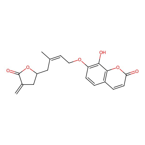 2D Structure of 8-Hydroxy-7-[3-methyl-4-(4-methylidene-5-oxooxolan-2-yl)but-2-enoxy]chromen-2-one