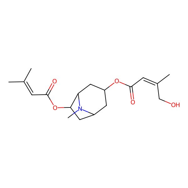 2D Structure of [8-Methyl-6-(3-methylbut-2-enoyloxy)-8-azabicyclo[3.2.1]octan-3-yl] 4-hydroxy-3-methylbut-2-enoate