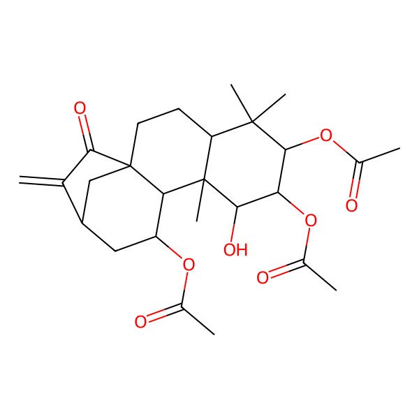2D Structure of [(1R,4R,6R,7S,10S,11S,13S)-6,7-diacetyloxy-8-hydroxy-5,5,9-trimethyl-14-methylidene-15-oxo-11-tetracyclo[11.2.1.01,10.04,9]hexadecanyl] acetate