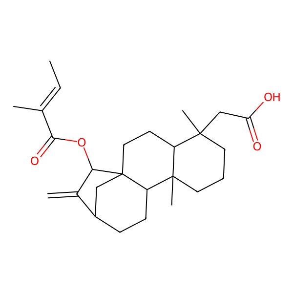 2D Structure of 2-[(1R,4R,5S,9R,10S,13R,15S)-5,9-dimethyl-15-[(Z)-2-methylbut-2-enoyl]oxy-14-methylidene-5-tetracyclo[11.2.1.01,10.04,9]hexadecanyl]acetic acid