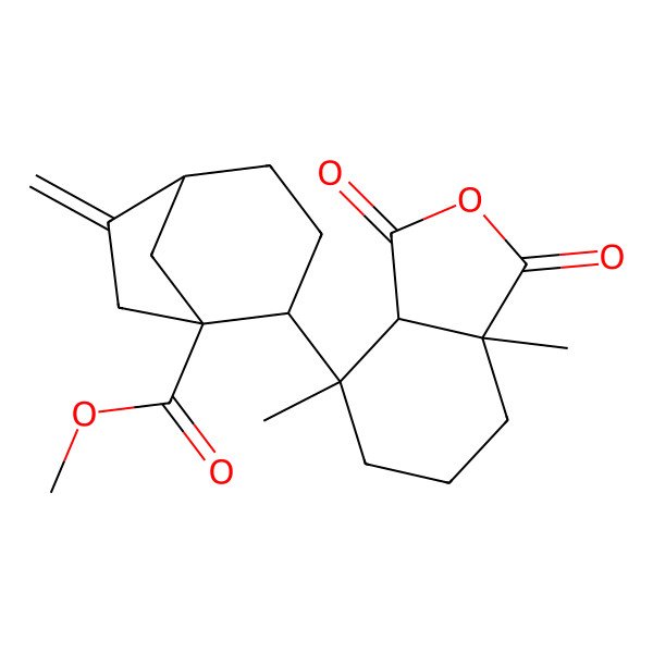 2D Structure of methyl (1R,2S,5R)-2-[(3aS,4S,7aR)-4,7a-dimethyl-1,3-dioxo-3a,5,6,7-tetrahydro-2-benzofuran-4-yl]-6-methylidenebicyclo[3.2.1]octane-1-carboxylate