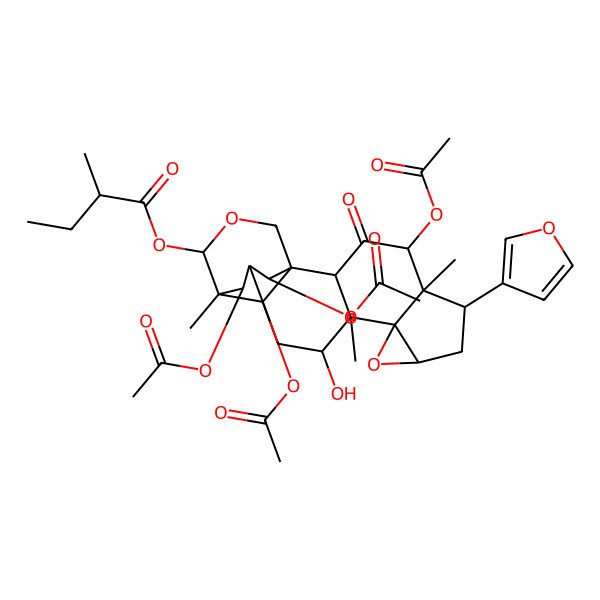 2D Structure of [(1S,2R,4R,5R,6S,8R,10S,11S,12R,14R,15R,16S,19R,20R,21S)-4,19,20,21-tetraacetyloxy-6-(furan-3-yl)-12-hydroxy-5,11,15-trimethyl-3-oxo-9,17-dioxahexacyclo[13.3.3.01,14.02,11.05,10.08,10]henicosan-16-yl] (2R)-2-methylbutanoate