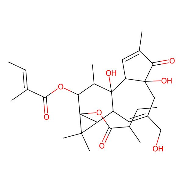 2D Structure of [1,6-Dihydroxy-8-(hydroxymethyl)-4,12,12,15-tetramethyl-14-(2-methylbut-2-enoyloxy)-5-oxo-13-tetracyclo[8.5.0.02,6.011,13]pentadeca-3,8-dienyl] 2-methylbutanoate