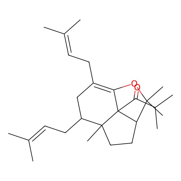 2D Structure of 2-methyl-1-[(4R,7R,8S,11S)-3,3,7-trimethyl-8,10-bis(3-methylbut-2-enyl)-2-oxatricyclo[5.3.1.04,11]undec-1(10)-en-11-yl]propan-1-one