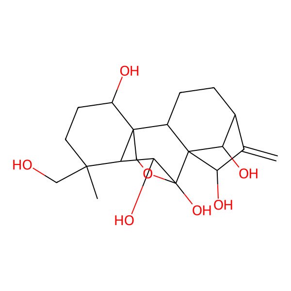 2D Structure of (1S,2S,5S,7R,8S,9S,10S,11R,12R,15R,18R)-12-(hydroxymethyl)-12-methyl-6-methylidene-17-oxapentacyclo[7.6.2.15,8.01,11.02,8]octadecane-7,9,10,15,18-pentol