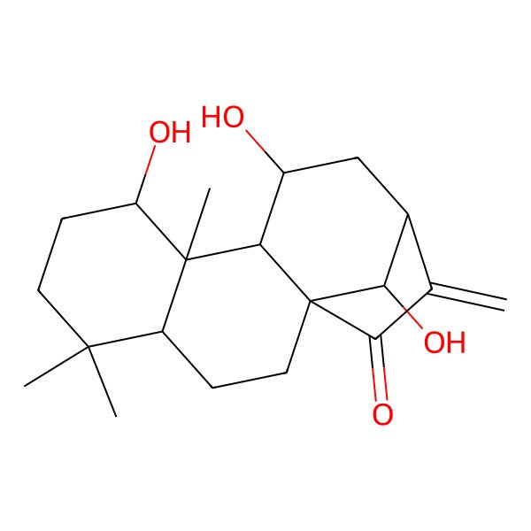 2D Structure of 8,11,16-Trihydroxy-5,5,9-trimethyl-14-methylidenetetracyclo[11.2.1.01,10.04,9]hexadecan-15-one