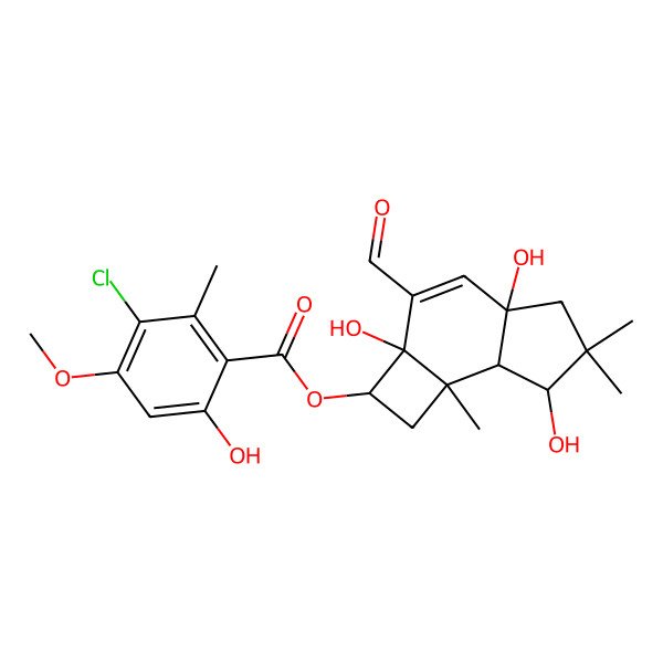 2D Structure of (3-formyl-2a,4a,7-trihydroxy-6,6,7b-trimethyl-2,5,7,7a-tetrahydro-1H-cyclobuta[e]inden-2-yl) 3-chloro-6-hydroxy-4-methoxy-2-methylbenzoate