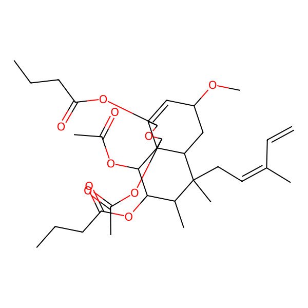 2D Structure of [(1S,3R,5R,6aS,7S,8S,9R,10R,10aS)-1,10-diacetyloxy-3-butanoyloxy-5-methoxy-7,8-dimethyl-7-[(2Z)-3-methylpenta-2,4-dienyl]-1,3,5,6,6a,8,9,10-octahydrobenzo[d][2]benzofuran-9-yl] butanoate